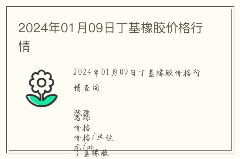 2024年01月09日丁基橡膠價格行情