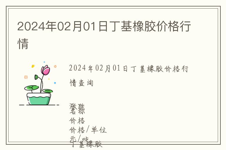 2024年02月01日丁基橡膠價格行情