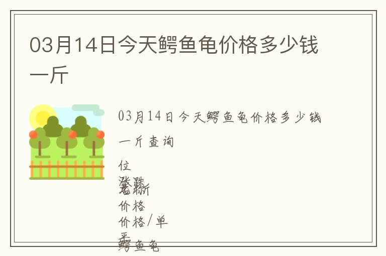 03月14日今天鱷魚(yú)龜價(jià)格多少錢(qián)一斤
