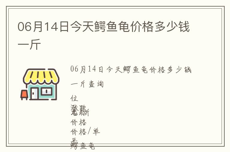 06月14日今天鱷魚龜價(jià)格多少錢一斤