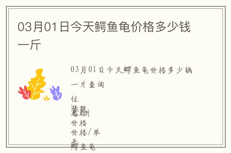 03月01日今天鱷魚(yú)龜價(jià)格多少錢(qián)一斤