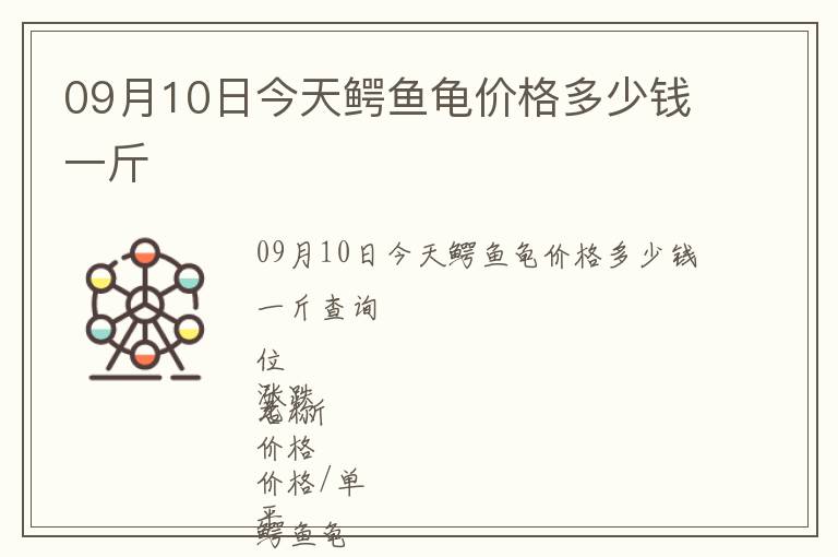 09月10日今天鱷魚龜價(jià)格多少錢一斤