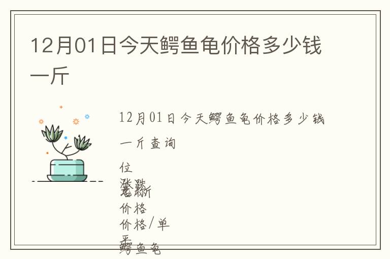 12月01日今天鱷魚龜價格多少錢一斤