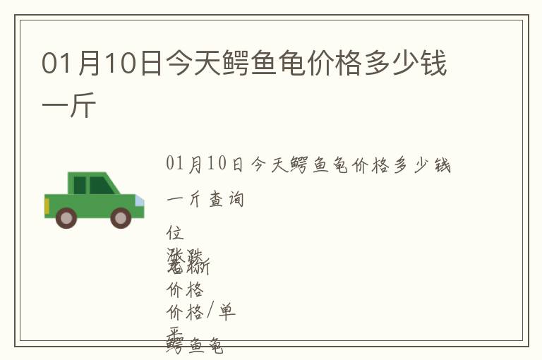 01月10日今天鱷魚龜價(jià)格多少錢一斤