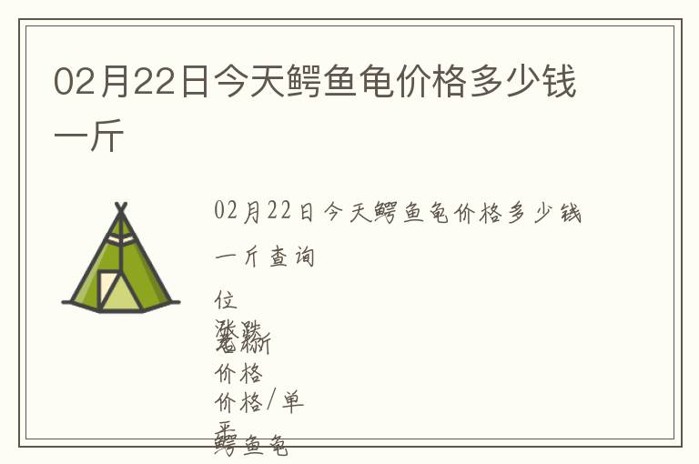 02月22日今天鱷魚龜價(jià)格多少錢一斤