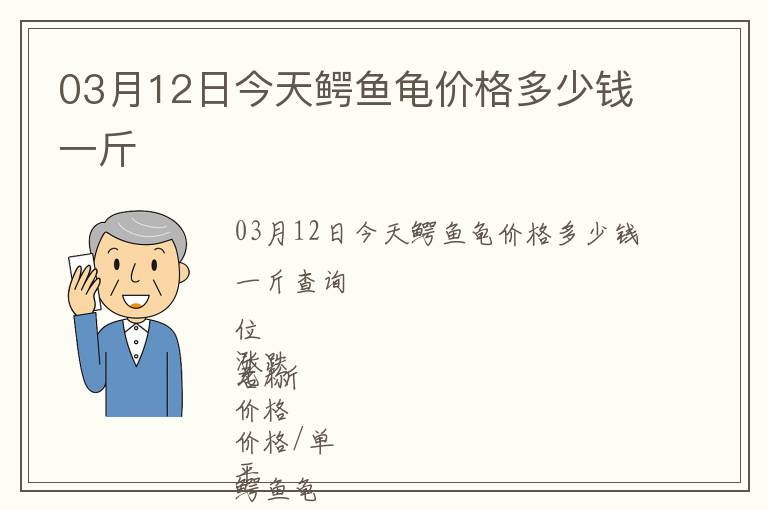 03月12日今天鱷魚(yú)龜價(jià)格多少錢(qián)一斤