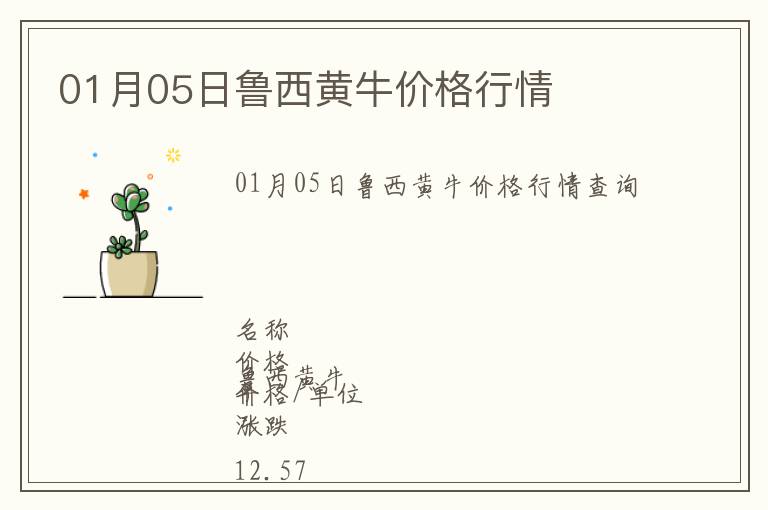 01月05日魯西黃牛價(jià)格行情