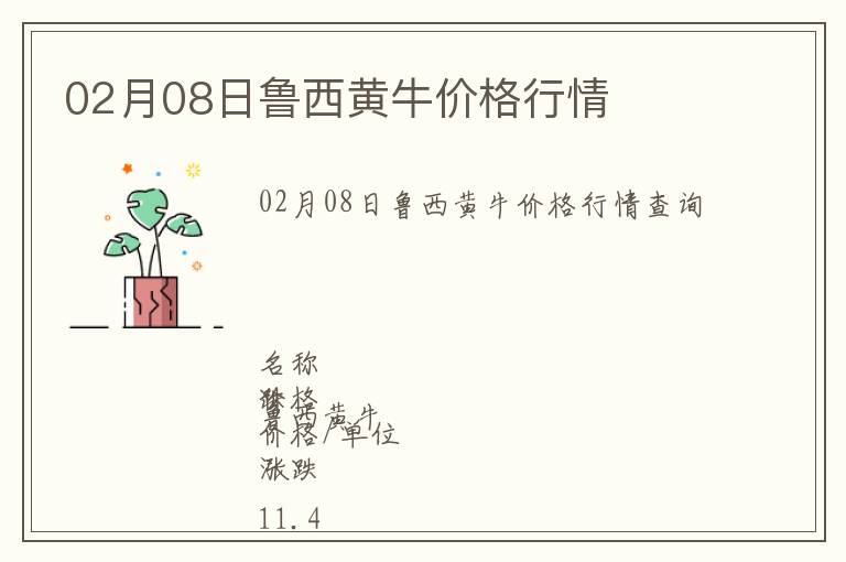 02月08日魯西黃牛價(jià)格行情