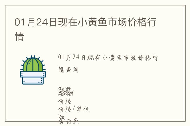 01月24日現在小黃魚市場價格行情