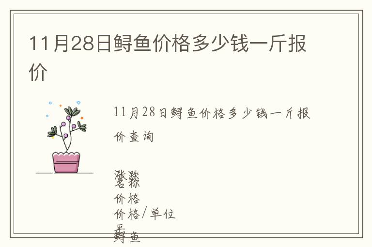 11月28日鱘魚價格多少錢一斤報價