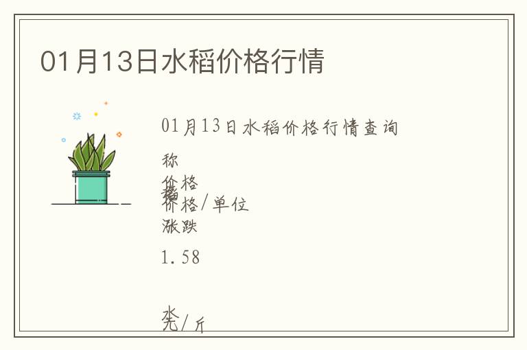 01月13日水稻價格行情