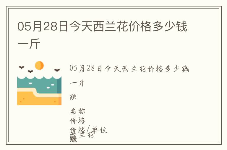 05月28日今天西蘭花價格多少錢一斤