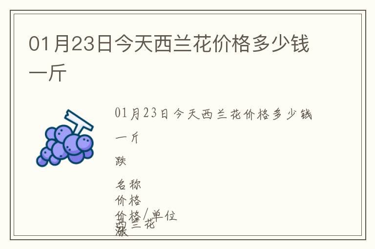 01月23日今天西蘭花價格多少錢一斤