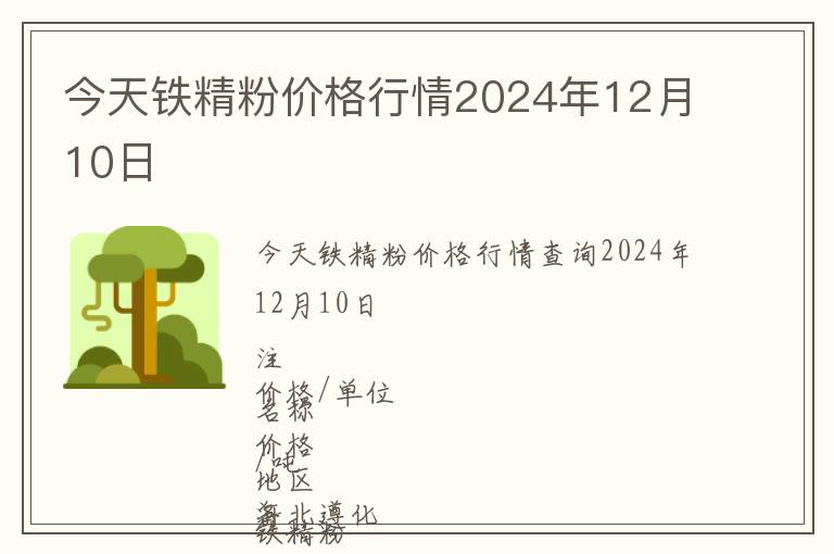 今天鐵精粉價格行情2024年12月10日