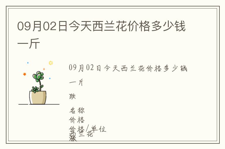 09月02日今天西蘭花價(jià)格多少錢一斤