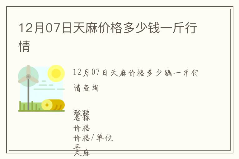 12月07日天麻價(jià)格多少錢一斤行情