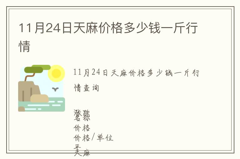11月24日天麻價(jià)格多少錢一斤行情
