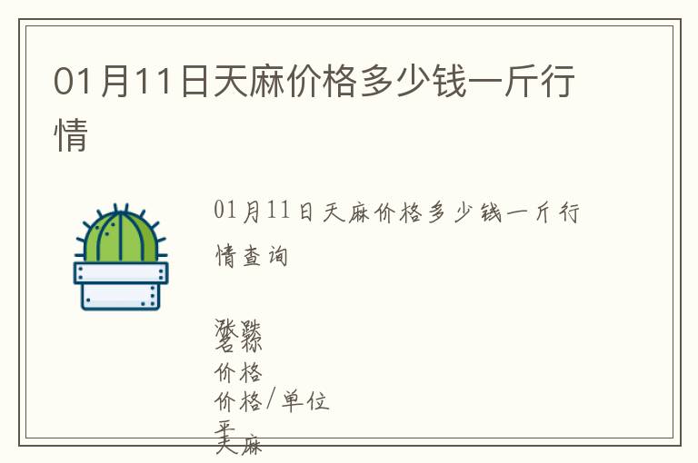 01月11日天麻價格多少錢一斤行情