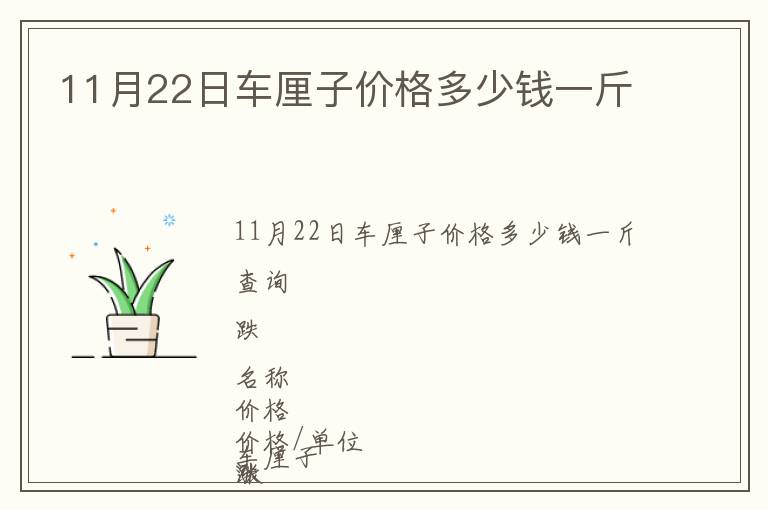 11月22日車?yán)遄觾r格多少錢一斤