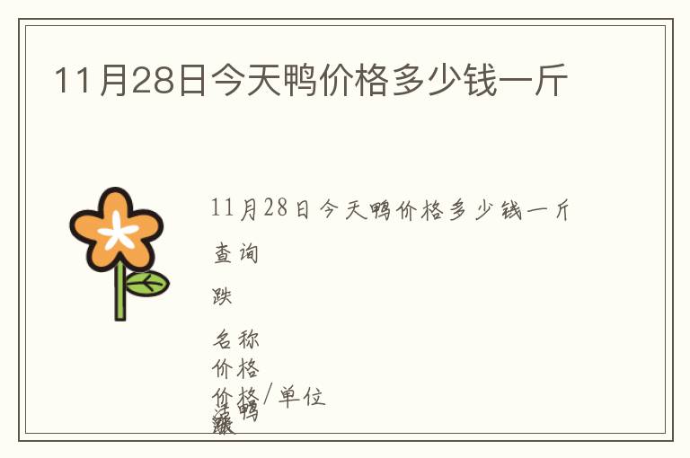 11月28日今天鴨價(jià)格多少錢(qián)一斤