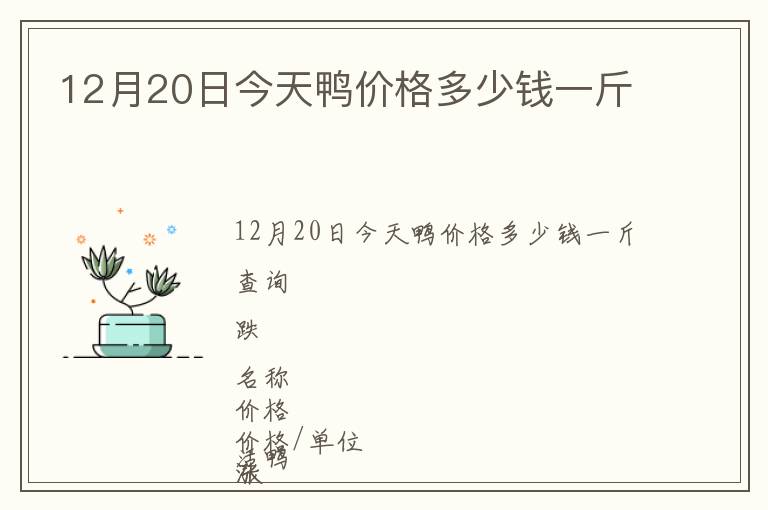 12月20日今天鴨價格多少錢一斤