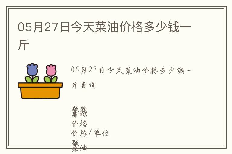 05月27日今天菜油價格多少錢一斤