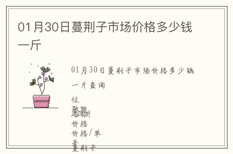 01月30日蔓荊子市場(chǎng)價(jià)格多少錢(qián)一斤