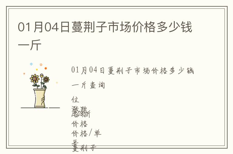 01月04日蔓荊子市場(chǎng)價(jià)格多少錢一斤