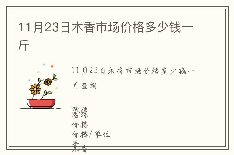 11月23日木香市場(chǎng)價(jià)格多少錢一斤