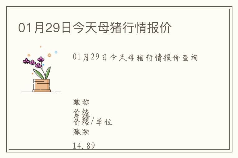 01月29日今天母豬行情報價