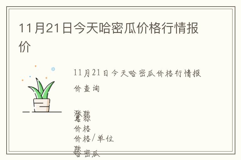 11月21日今天哈密瓜價格行情報價