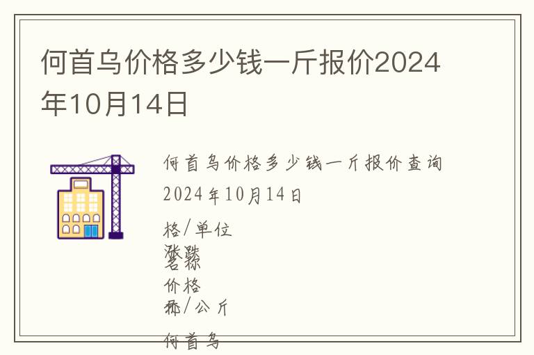 何首烏價(jià)格多少錢一斤報(bào)價(jià)2024年10月14日