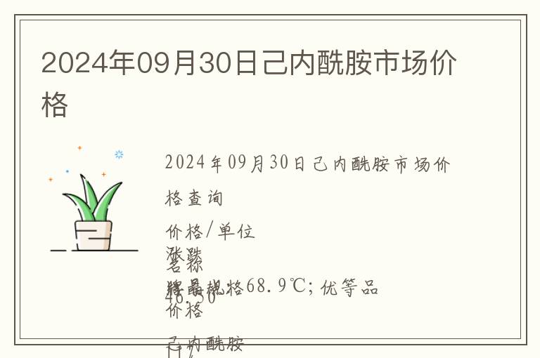 2024年09月30日己內(nèi)酰胺市場(chǎng)價(jià)格