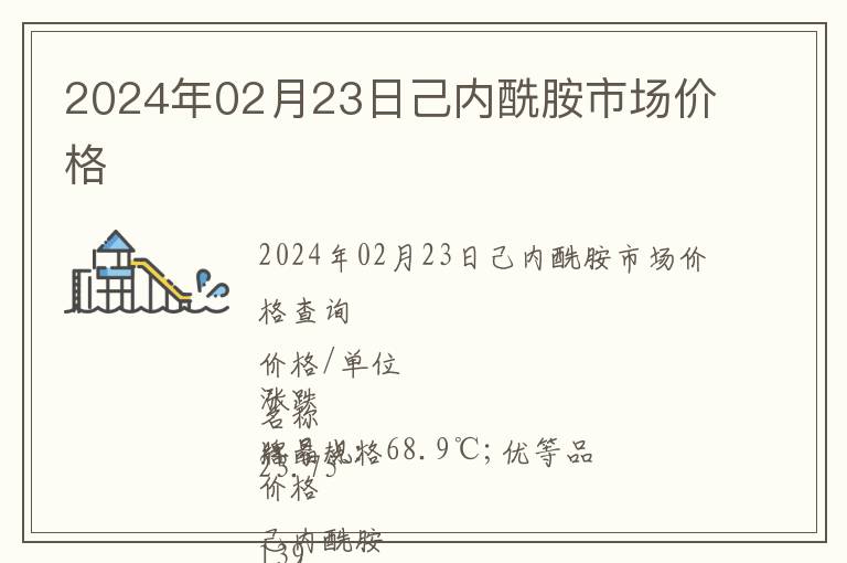 2024年02月23日己內酰胺市場價格