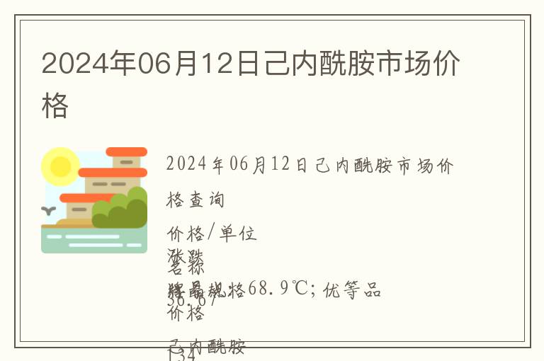 2024年06月12日己內(nèi)酰胺市場價格