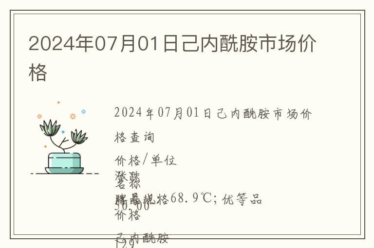 2024年07月01日己內(nèi)酰胺市場價格