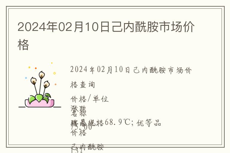 2024年02月10日己內(nèi)酰胺市場(chǎng)價(jià)格